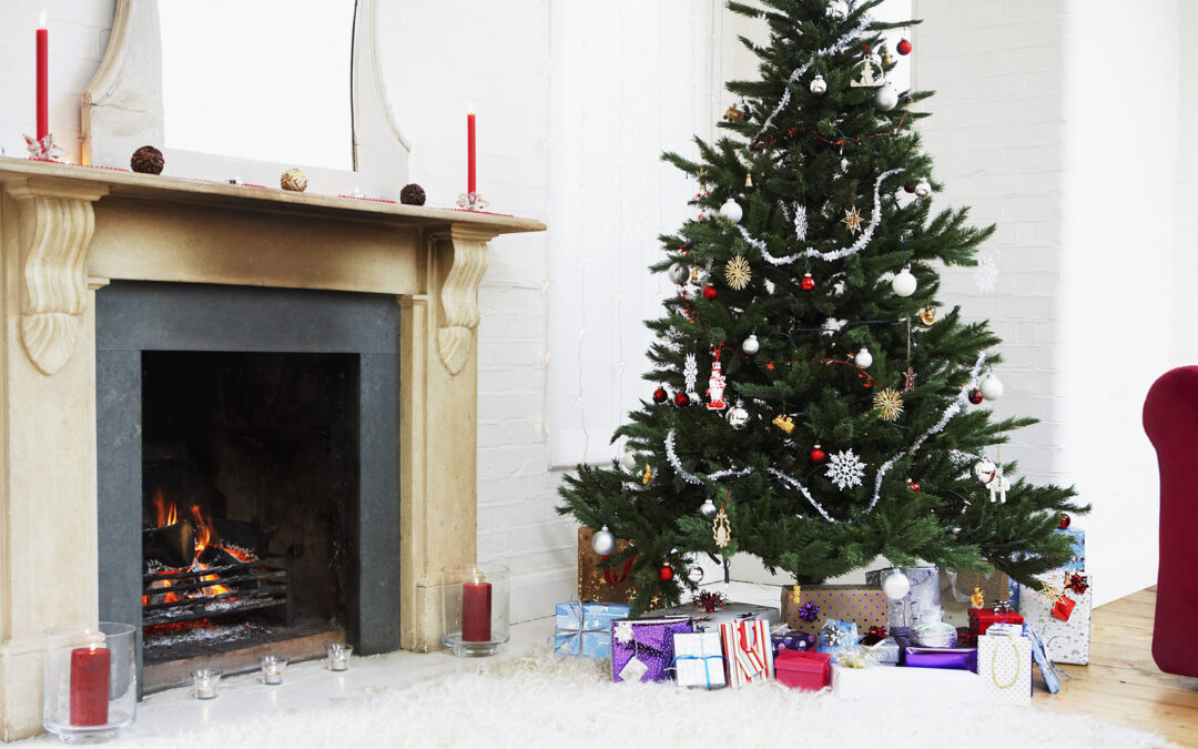 The 5 Best Types Of Christmas Trees